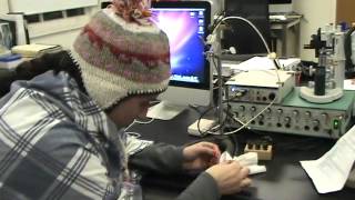 CVA 2012 : Rabbit Jaw Muscles - Monty Python Holy Grail Spoof