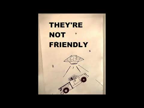 No Hit Wonder - THEY'RE NOT FRIENDLY