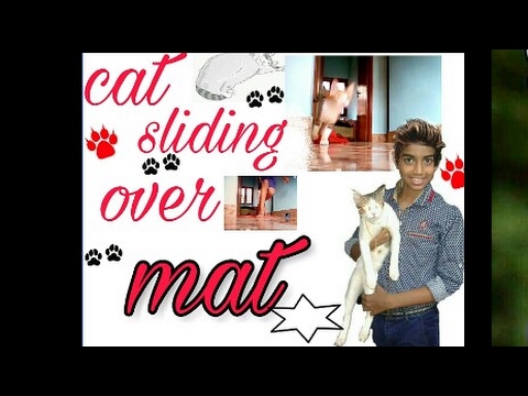 Cat sliding over mat 😵😵😵😆😄😃😁😉