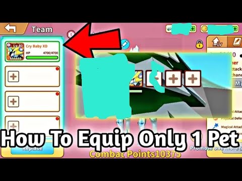 How To Equip Only 1 Pet? in Trainers arena | Blockman Go