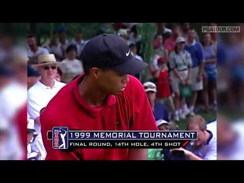 Tiger Woods - Shot Compilation