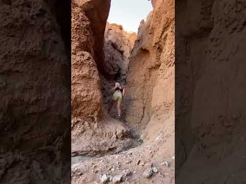 Utah Has Been Impressive So Far