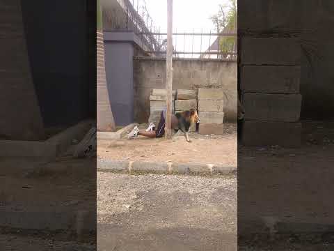 we walked over #funny #whowillbemylifepartnerta #goviral