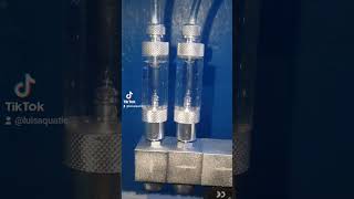 Make sure to subscribe for updates! #fishtank #aquarium #fish #aquascape #coral #reef #bettafish