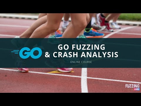 Go Security Fuzzing and Crash Analysis  - Training description (Day 2)