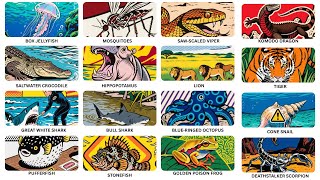 Every Deadly Animal Explained in 12 Minutes