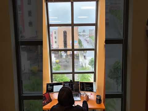 Locked in quiet rhythm of productivity