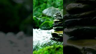 15 Seconds of Peace in Nature | | Relax and Take a Deep Breath