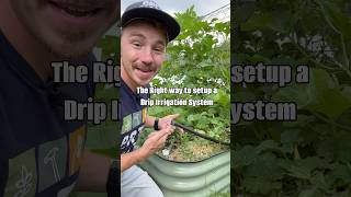 Set up a Drip Irrigation System the Right Way 👌🏼