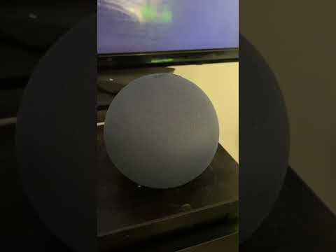 Alexa (Echo Show 8, Echo Dot, Echo) is not connected to the internet