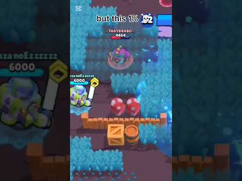 Enternaiment only (surge is my main)
