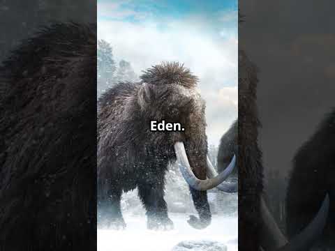 Where Did The Beringia Tribe Go?