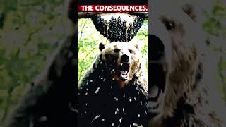 BEAR Finds Out Honey Has A Price! 🐝🤣 Nature's Comedy #shorts #shortsviral #fypシ゚viral #funny
