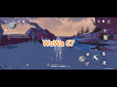 WuWa 67: saving for C2 Jinhsi