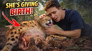 My AFRICAN WILDCAT FINALLY GAVE BIRTH!!