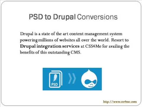 Premier web Development Company