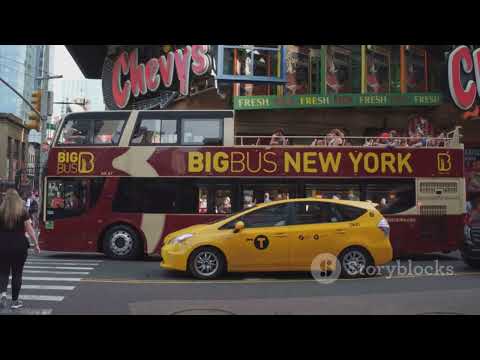 This Bus Can Swim – The Truth About Amphibious Vehicles