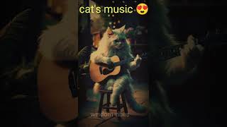 cat's music 🎶🤩 # musiclover🎶🎵😘