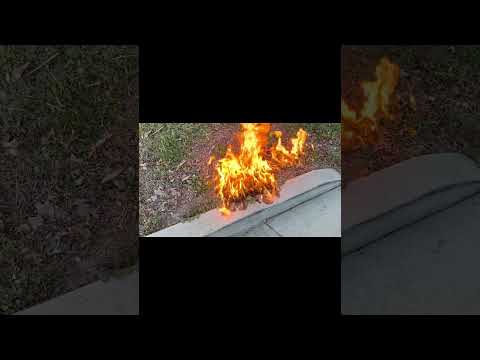 Full video!