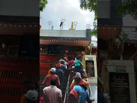 Jai Maa Sharda 🙏🙏🙏#maasharda #maihartemple #matarani #jaimatadi #maadurga #navratri