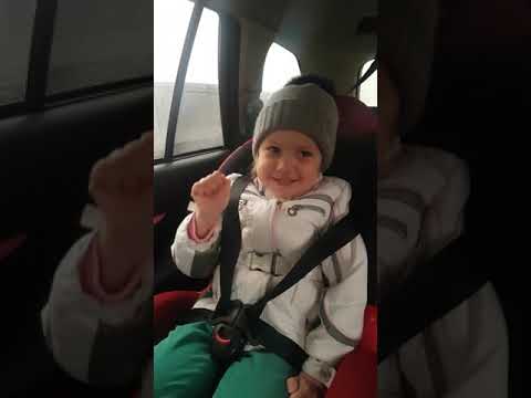 Едем домой