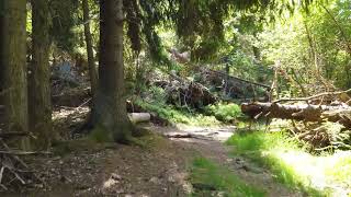 What onboarding buffer do you give new devs?