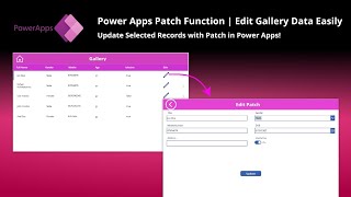 Patch edit  in Power Apps: Edit or Update Selected Gallery Data
