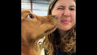 FURBABY PET CARE FEBRUARY 2025