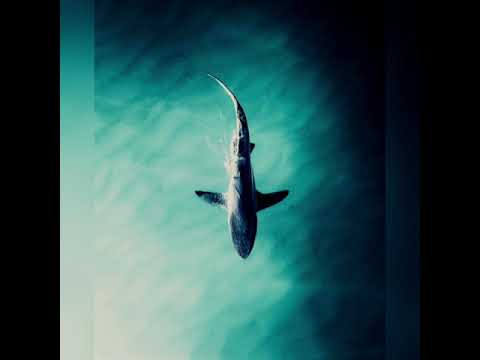 Deep Tech Session Mix