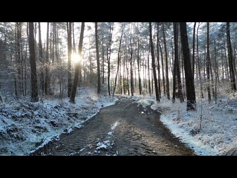 Dalfsen in de sneeuw 2026
