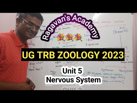 Nervous System  for UG TRB 2023