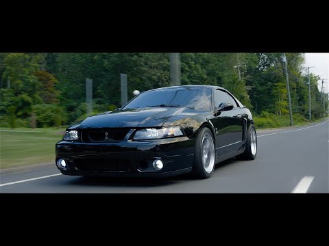 2003 Mustang Cobra On CCW Wheels | 4K