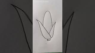 How to draw Corn 🌽🌽 #howtodraw #corn #stepbystep #drawing #easy #technique #vutta #vegetable 🌽🌽🌽