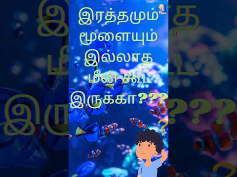 இரத்தமும் மூளையும் இல்லாம ஒரு மீனா?|#unknownfactsintamil#funfactshorts#deepseaanimalsfact#starfish#