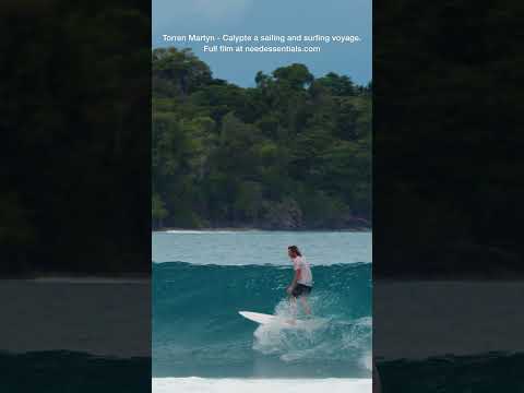 Calypte YouTube SHORT  #surf #surfers #ocean #waves #surfing #travel #beach