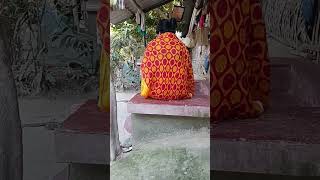 Phone Addiction Gone Wrong | Funny Reaction 😆