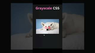 Grayscale CSS Property #CSS #codingsai