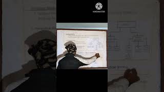 Data Model in DBMS (Data model lie aru kun naam le jane😄)