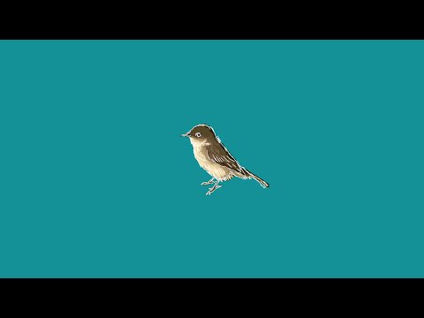 theearthonfire - Phoebe