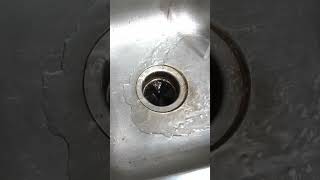 How to fix a garbage disposal #shorts