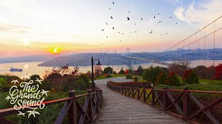 'Breeze of Serenity' - Melodic Progressive House Mix