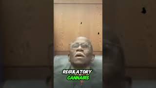Man Comes To Court HIGH—Judge Completely Speechless!