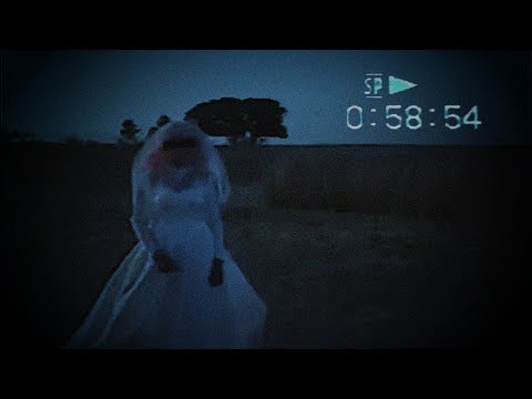 The Disturbing Side Of The Internet [VOL 2.1]