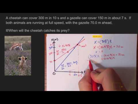 Cheetah and Gazelle Physics Problem