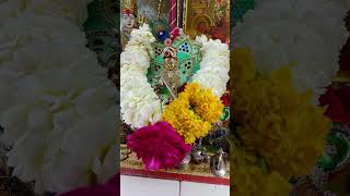 Krishna shorts #shorts #programerved #jayranchhod #jayshreeradhyekrishna #🙏🌹
