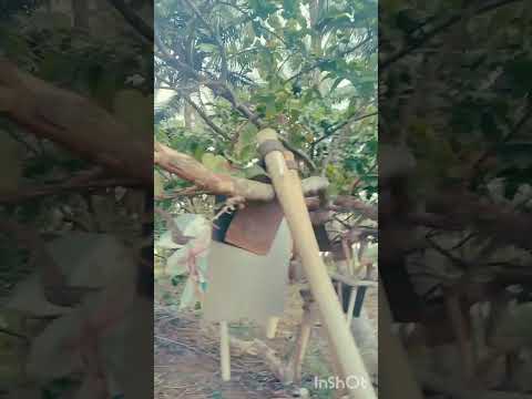 #எனது ஒரு வாரம்