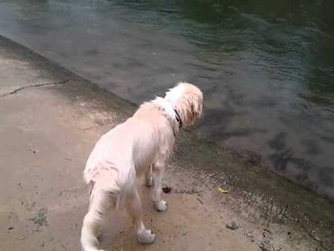 Vivica Vendetta loving Barton Springs
