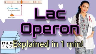 Lac Operon Explained In 1 Minute! | Lac Operon #neet #molecularbasisofinheritance #lacoperon