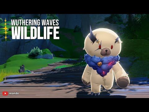 Wildlife Documentary | Cuddle Wuddle | Wuthering Waves