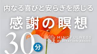Gratitude Meditation: Mindfulness meditation that helps you feel inner joy and increase your sens...